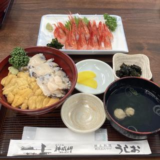 image1.jpeg