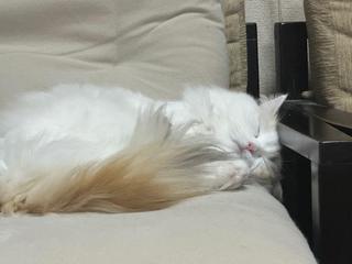 image2.jpeg