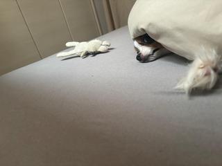 image0.jpeg