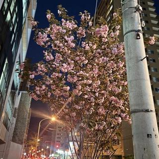 image0.jpeg