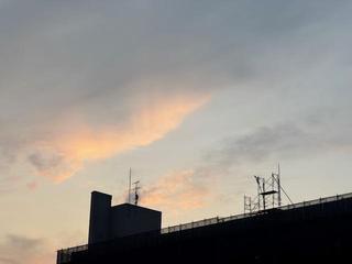 image1.jpeg