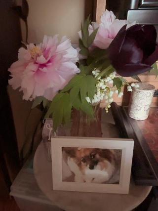 image1.jpeg