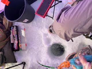 image5.jpeg