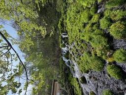 image1.jpeg
