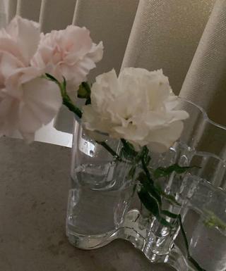 IMG_8161.jpeg