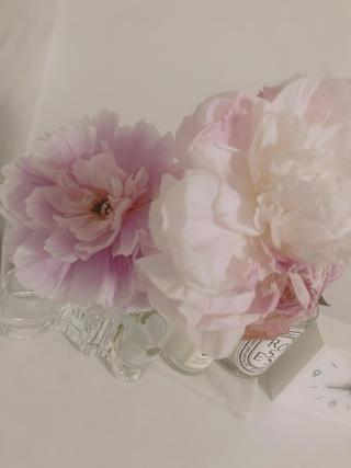 IMG_7460.jpeg