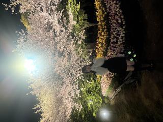 image0.jpeg