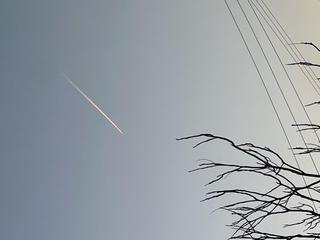 image0.jpeg