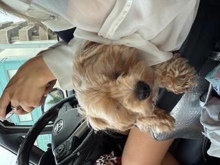 image0.jpeg
