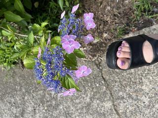 image1.jpeg