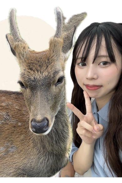 花子5.4のしかのこ