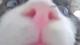 お留守番カメラ