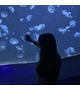 星野　アイ