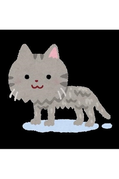 🐈‍⬛たま🐈‍⬛