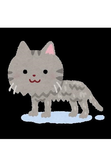 Belluxの🐈‍⬛たま🐈‍⬛