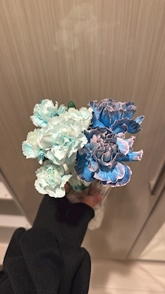 Belluxのうゆ