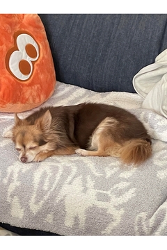 まーぼう