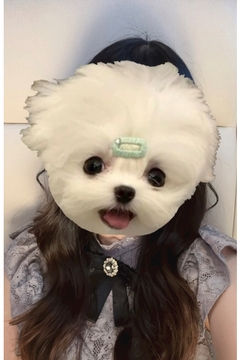りょうか