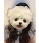 りょうか