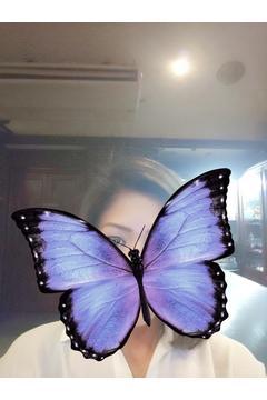 Papillonのキャサリン