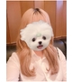 ひなた