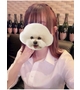 うた