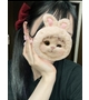 りあちゃん