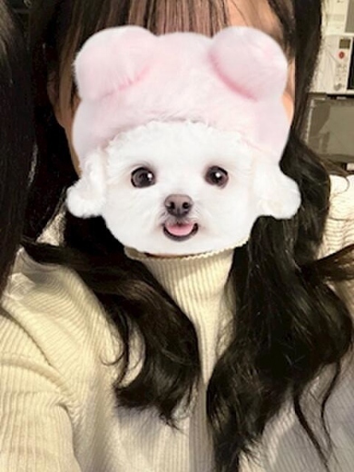 non-nonののあ