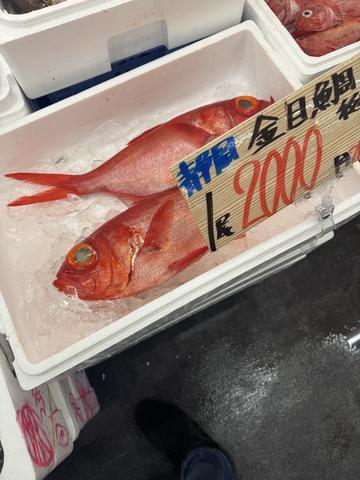 もはやエンタメ。