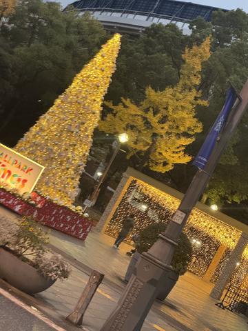 冬がはじまるよ。