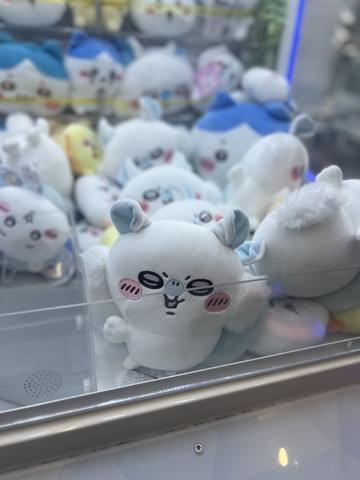 いた‼️