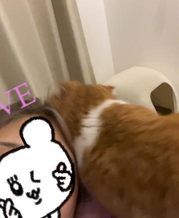 今日で決めるぞ‼️