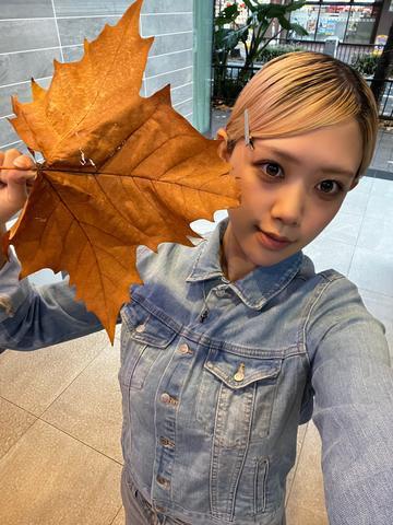 ふと顔を上げたら気づいたこと