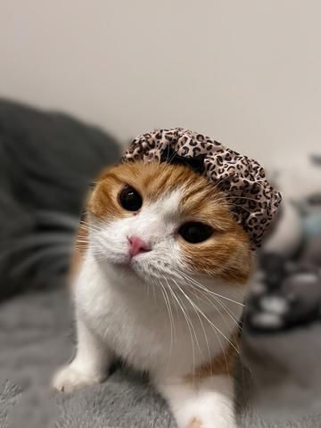 名古屋計画進行中‼️