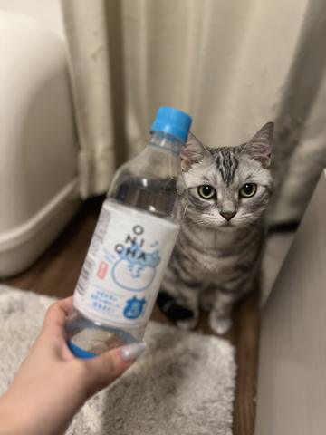 おにちゃデビュー