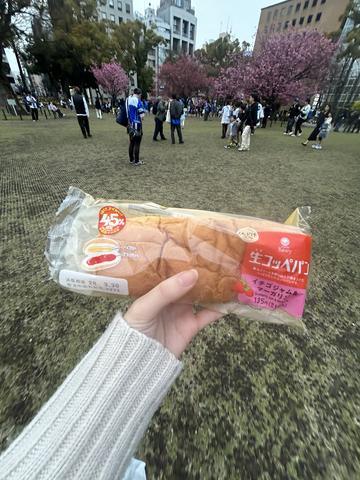 ハマスタからバモスへ