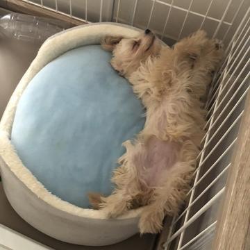久々の再会😭😭
