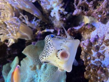 定期ソロ活🐡