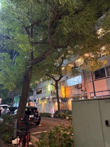 秋だ〜〜🍂