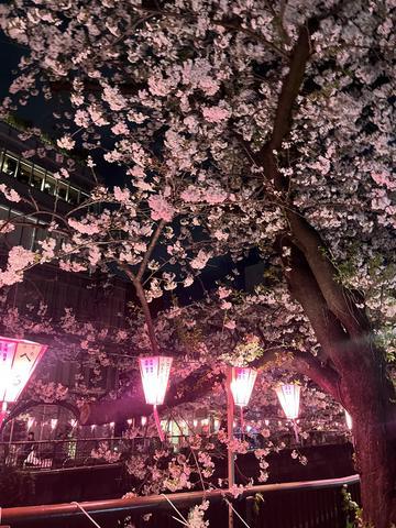 🌸
