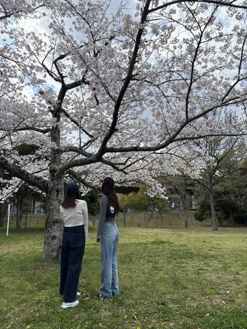 こんにちは