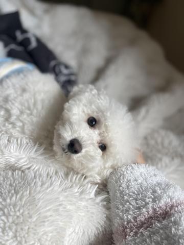 こんにちは