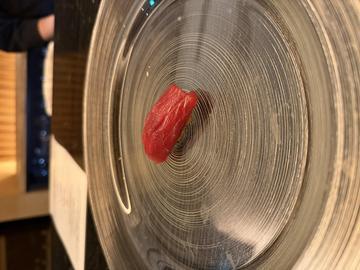 (ᐡ •͈ ·̫ •͈ ᐡ)