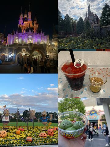 一人ディズニー