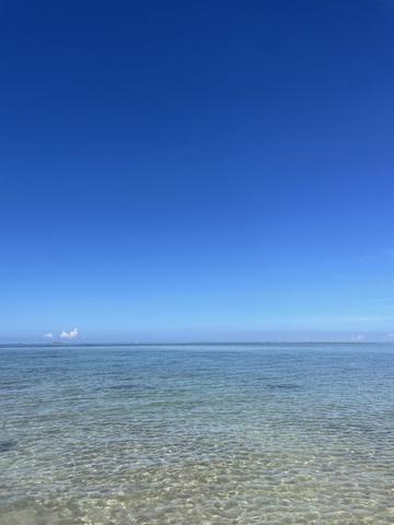 こんにちは❣️