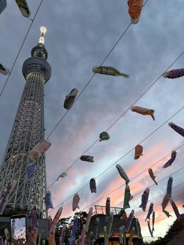 こんにちは❣️