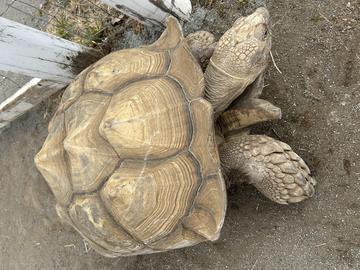 おはよー( ˶˙ᵕ˙˶ )☀️