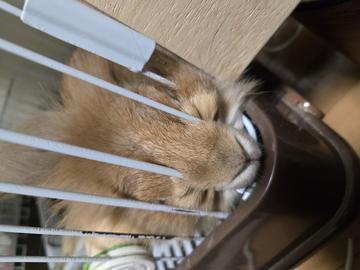 (・∀・)