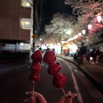 🌸🍓