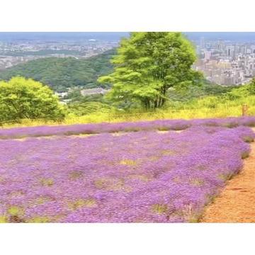 さっぽろ